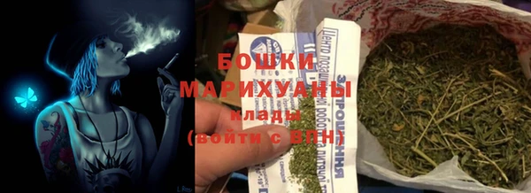 молекула духа Горнозаводск