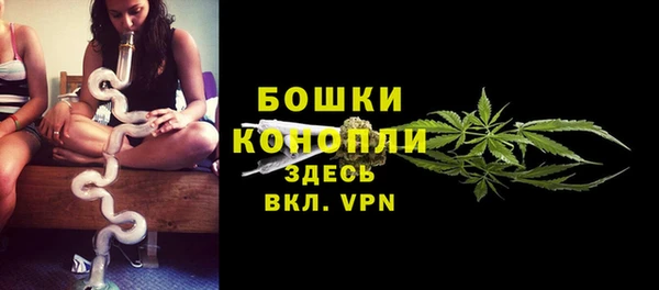 эйфоретик Новозыбков
