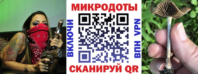 купить наркотики сайты  Кировск  Псилоцибиновые грибы MAGIC MUSHROOMS 