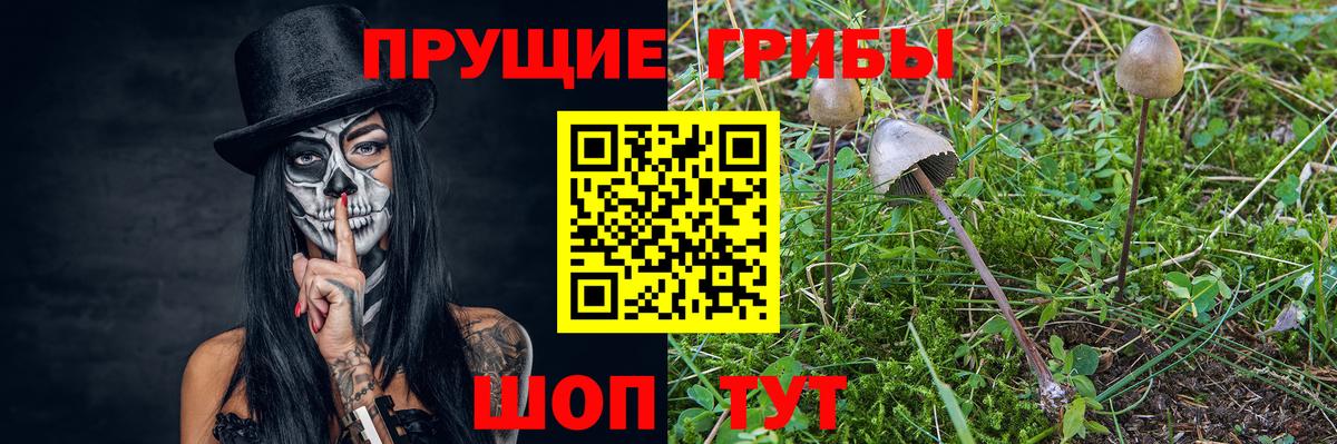 Псилоцибиновые грибы ЛСД Кировск