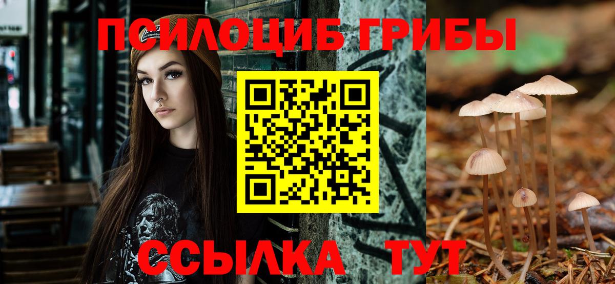 Галлюциногенные грибы GOLDEN TEACHER  Кировск  Галлюциногенные грибы GOLDEN TEACHER 