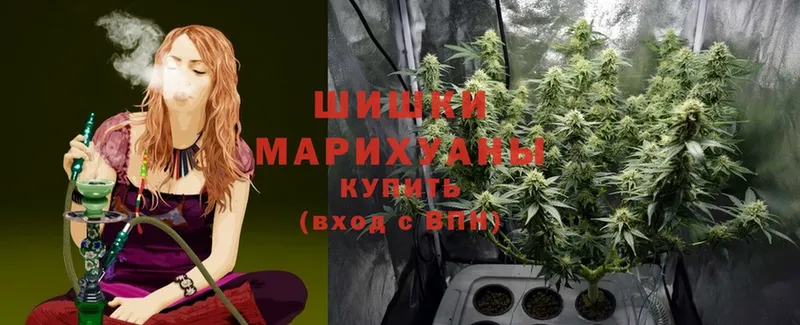 MEGA зеркало  дарнет шоп  Кировск  Марихуана White Widow 