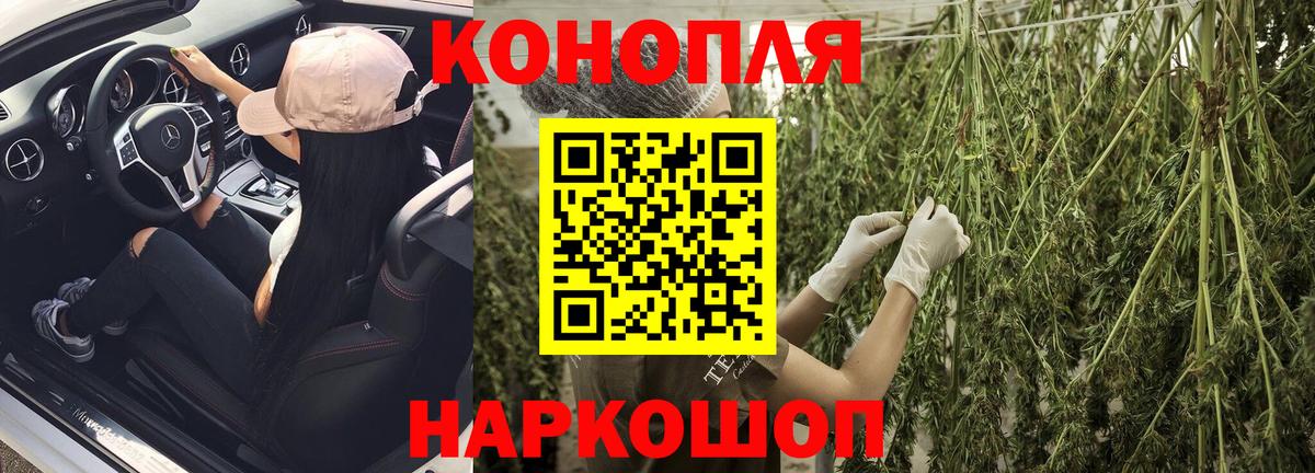 Бошки марихуана планчик  Конопля LSD WEED  Кировск 